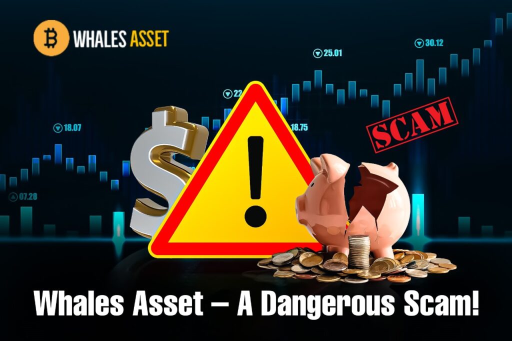 Whales Asset Reviews