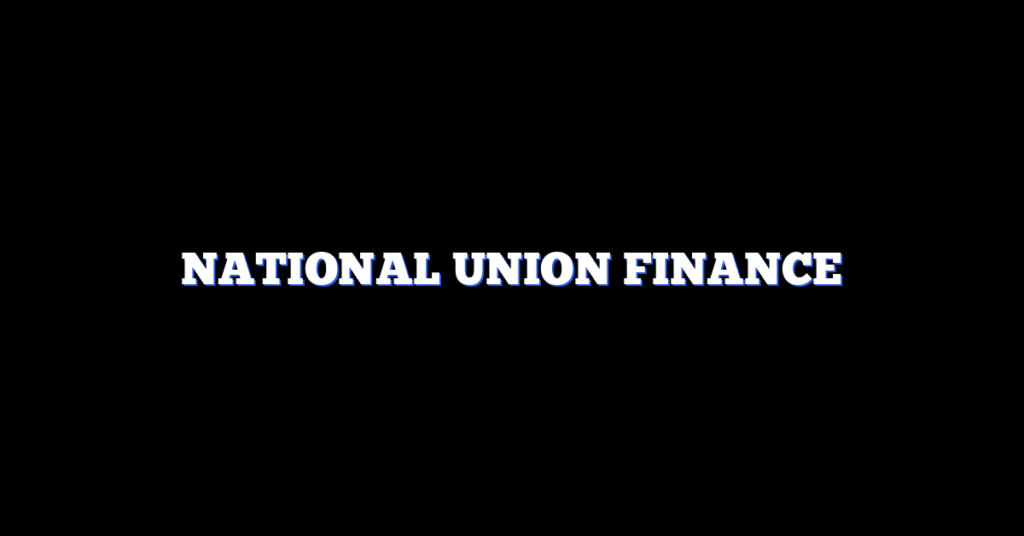 NATIONAL UNION FINANCE